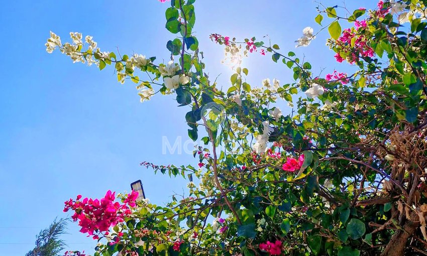 Βίλα Πολυτελείας προς Πώληση στο Μαρακές: Χώρος και Άνεση - view 12