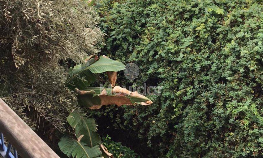 Villa Lussuosa a Marrakech: 5 Camere, Piscina e Sicurezza - view 12