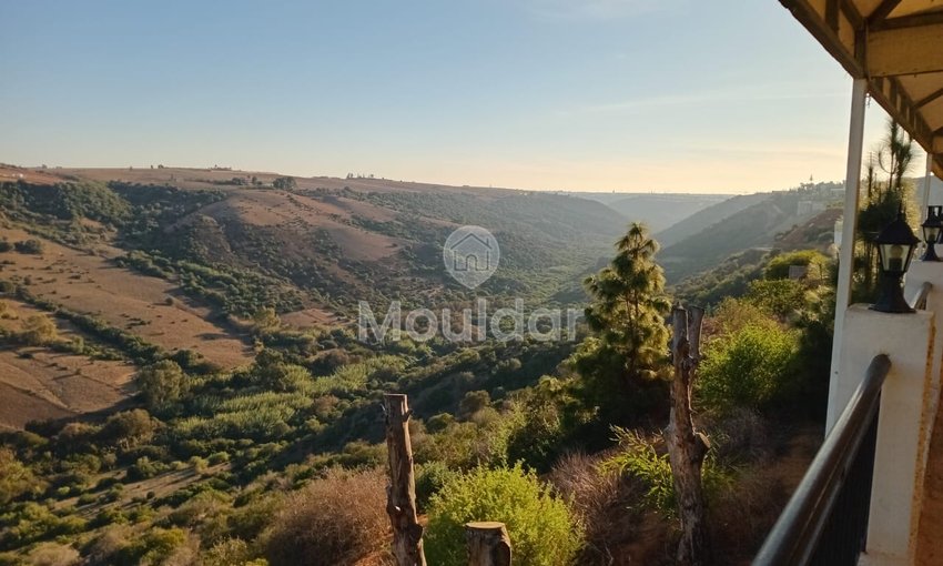 Villa d'Exception à Rabat-Agdal avec Piscine et Jardin Luxueux - view 6