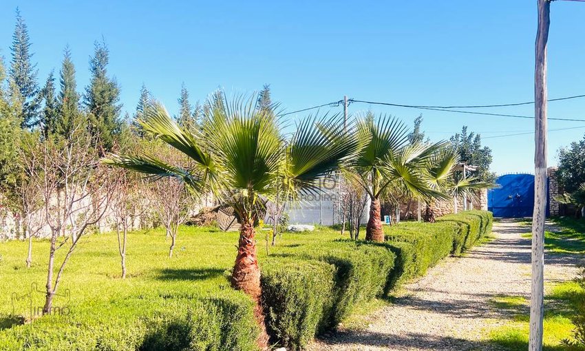 Villa Luxe à Essaouira : 3 Chambres, Piscine et Vue Mer - view 28