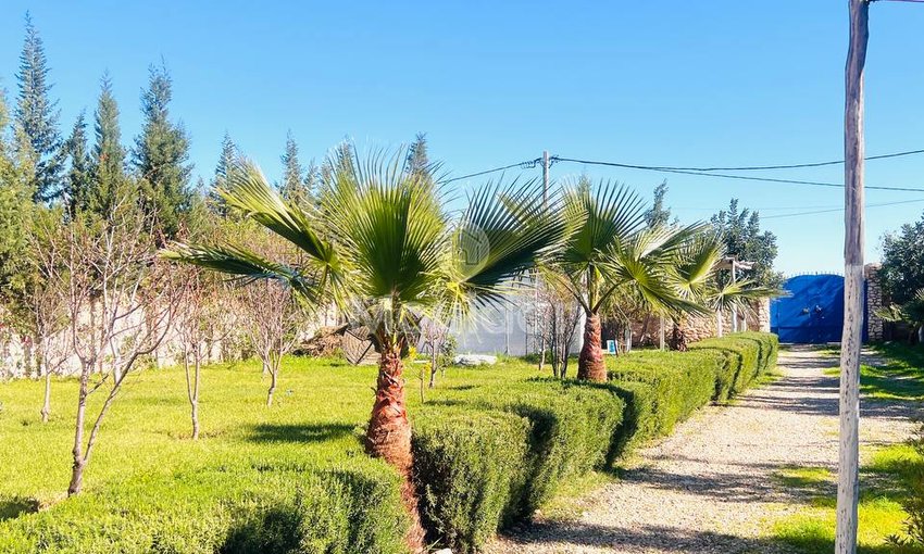 Villa Luxe à Essaouira : 3 Chambres, Piscine et Vue Mer - view 6