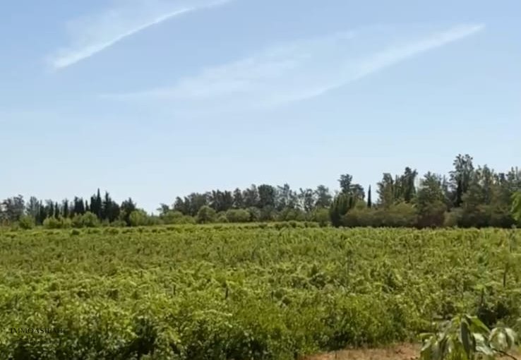 عقار فاخر للبيع في أصيلة - view 8