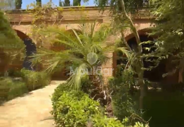 Riad de Luxe à Asilah : Évadez-vous dans le confort - view 3