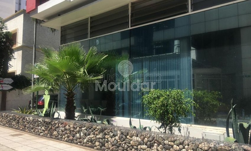 Büro zu vermieten in Casablanca, Gauthier - view 9