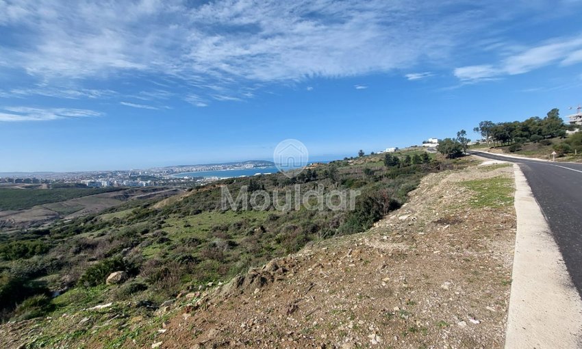 Villa Plot for Sale: 4000 m² in Nouinouiche - view 5