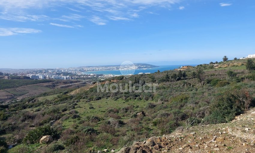 Villa Plot for Sale: 4000 m² in Nouinouiche - view 4