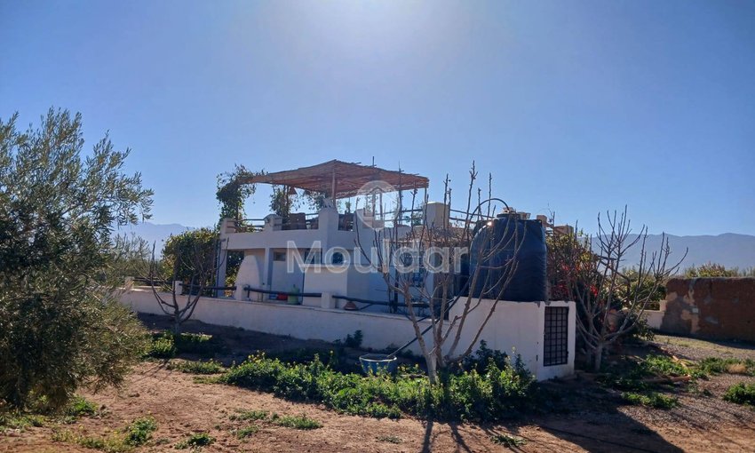 Fermă de Vânzare: 100.000 m² în Marrakech, Amezmiz - view 7