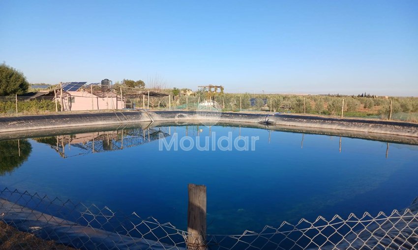 Fermă de Vânzare: 100.000 m² în Marrakech, Amezmiz - view 5