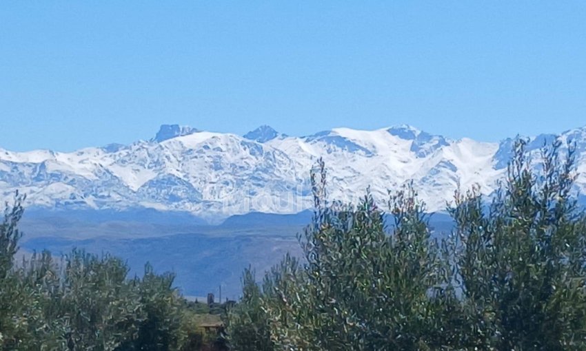 Fermă de Vânzare: 100.000 m² în Marrakech, Amezmiz - view 4