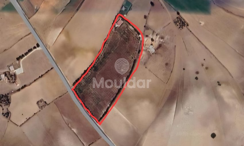 Ferma de vânzare în Rabat - view 11