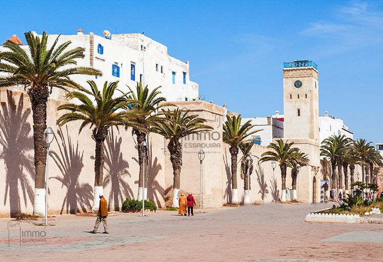 Vente Terrain Titré Face Mer à Essaouira – 360 - view 2