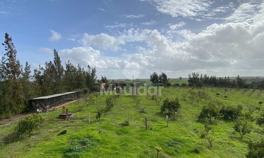 Ferma de vânzare în Rabat - view 6