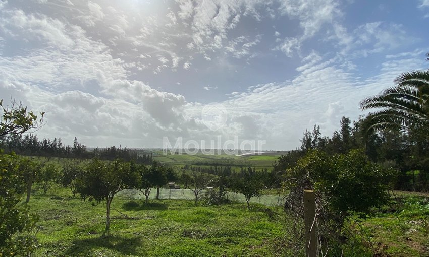 Ferma de vânzare în Rabat - view 10