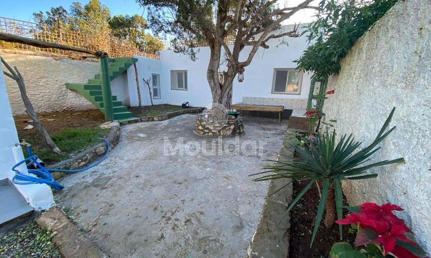 Haus zu vermieten in Essaouira - view 17