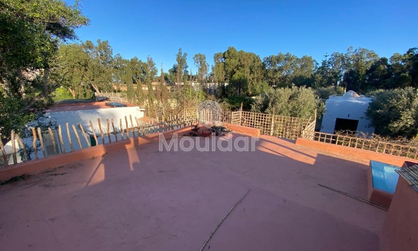 Haus zu vermieten in Essaouira - view 11