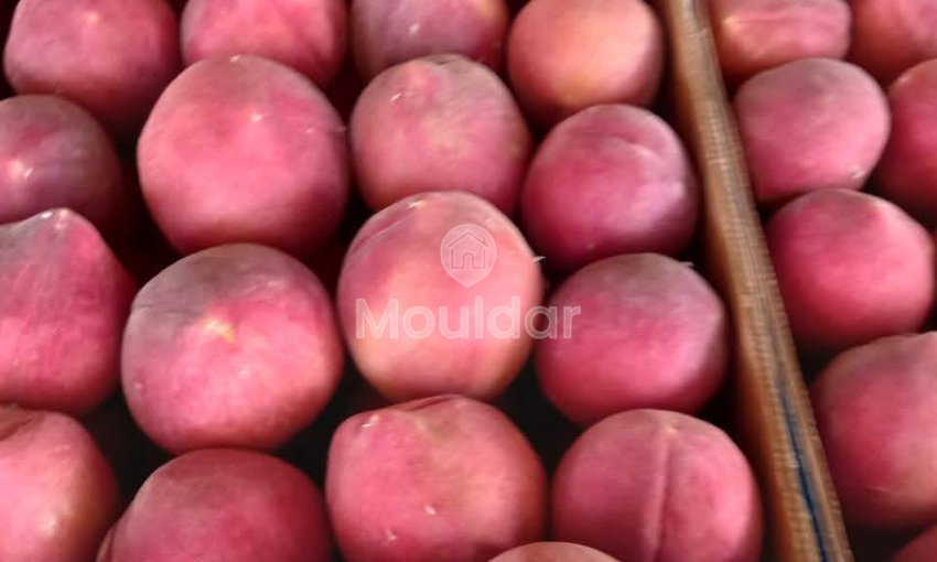 Ferma de vânzare în Meknès - view 5