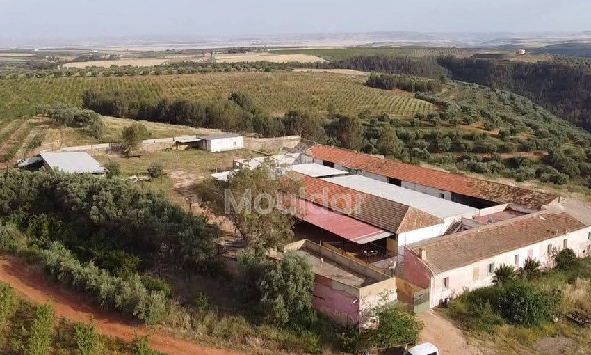 Ferma de vânzare în Meknès - view 7