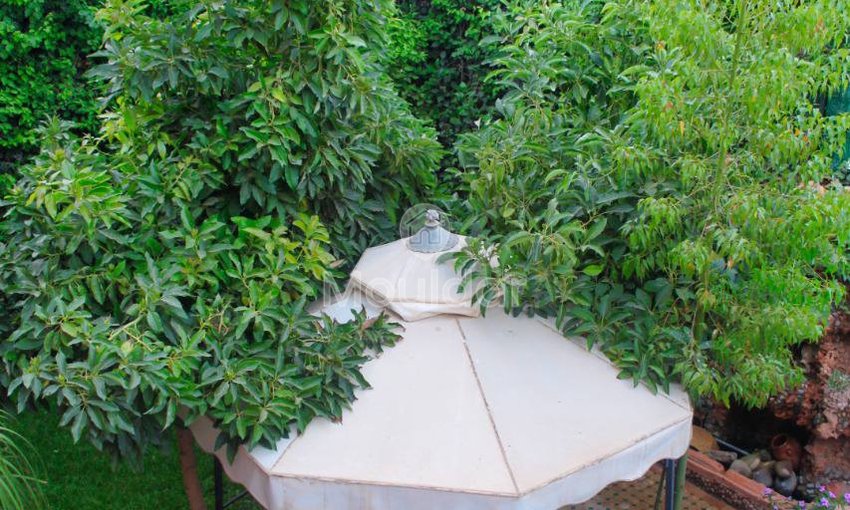 Villa te huur in Marrakech, Targa - view 10