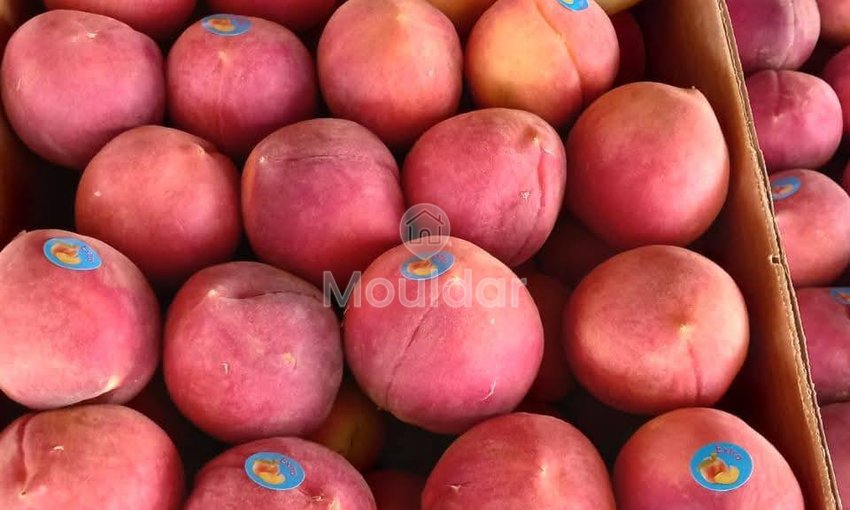 Ferma de vânzare în Meknès - view 13