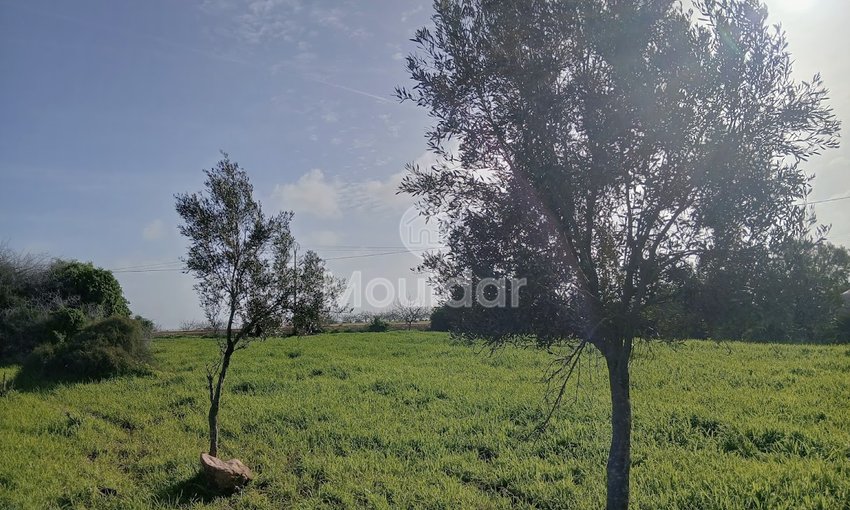 Te koop: terrein in Oulad Frej - view 5