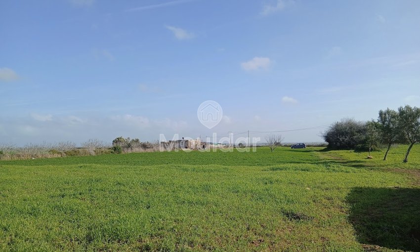 Te koop: terrein in Oulad Frej - view 6