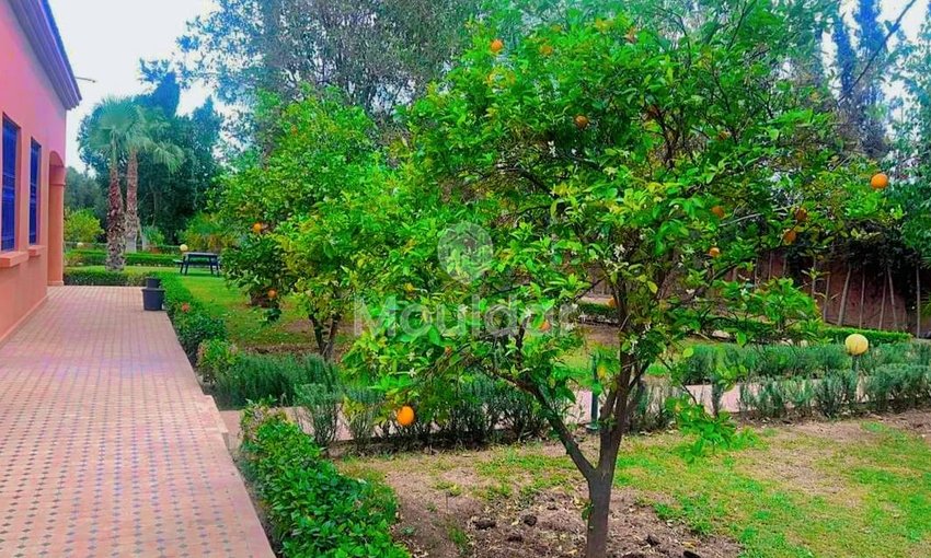 فيلا للإيجار في مراكش، طريق أكادير - الصويرة - view 12