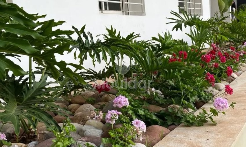 استوديو للإيجار في أغادير، حي محمدي - view 14