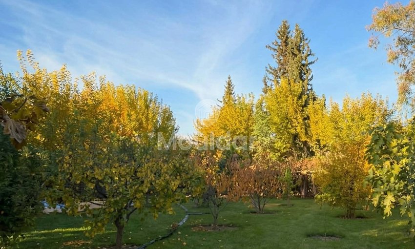 فيلا للايجار في مراكش، طريق فاس - view 7