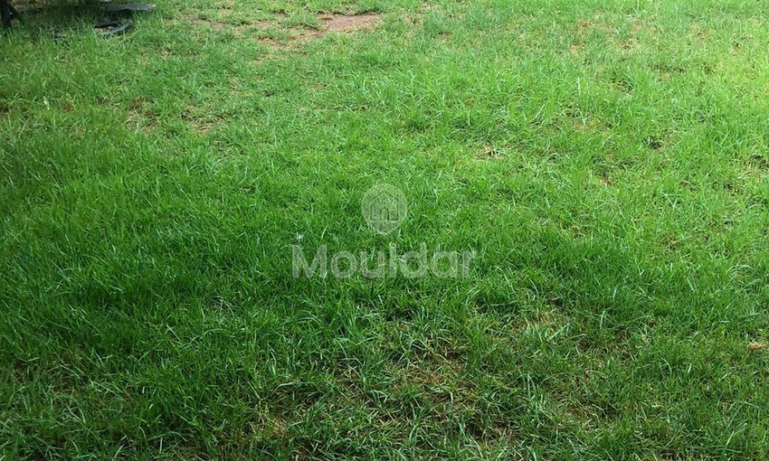 Apartment for rent for vacations in Marrakech, Av Mohammed V - view 6