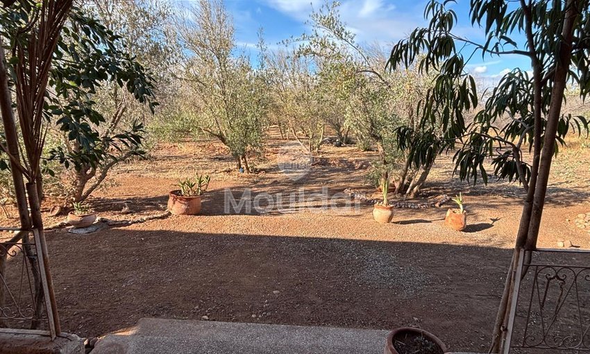 Villa à louer à Marrakech, Route de Fès - view 14