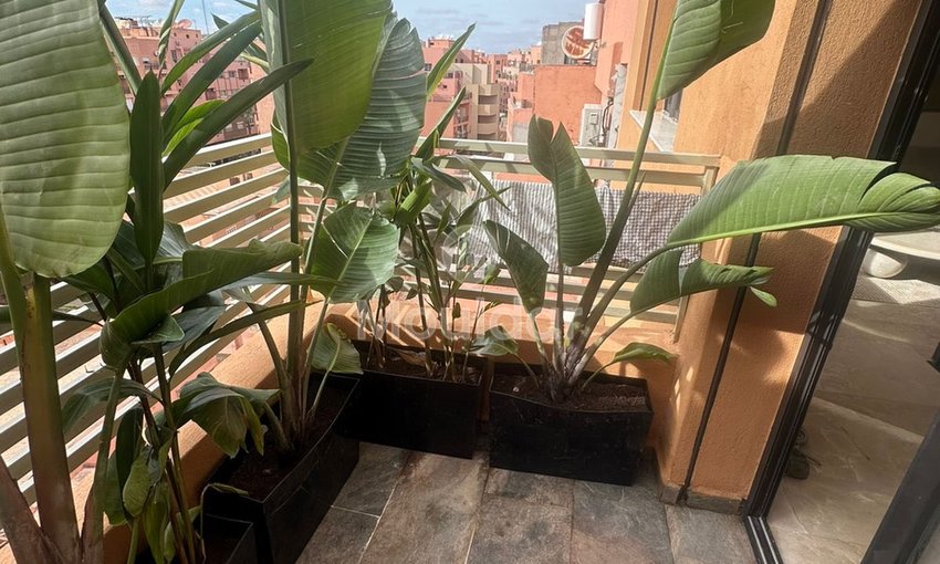 Appartement à louer à Guéliz, Marrakech - view 10