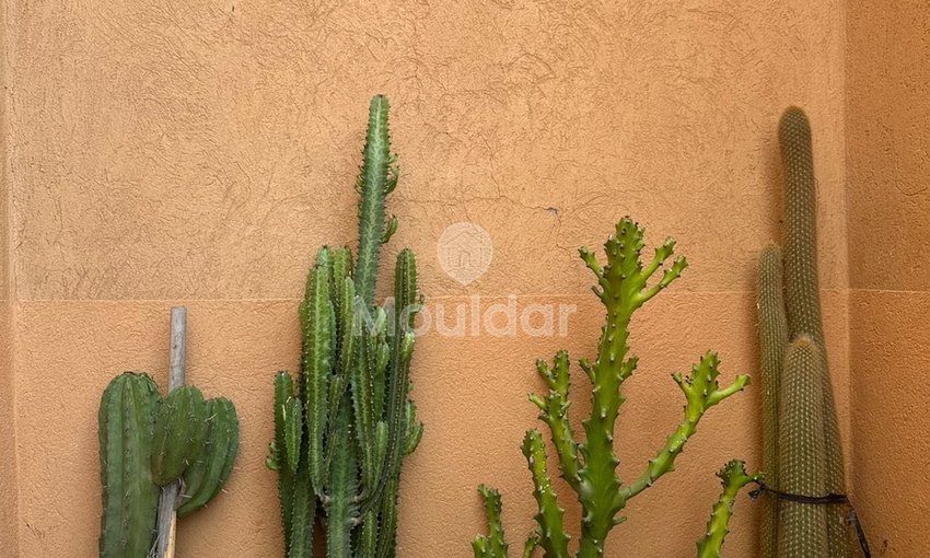 Appartement à louer à Guéliz, Marrakech - view 11