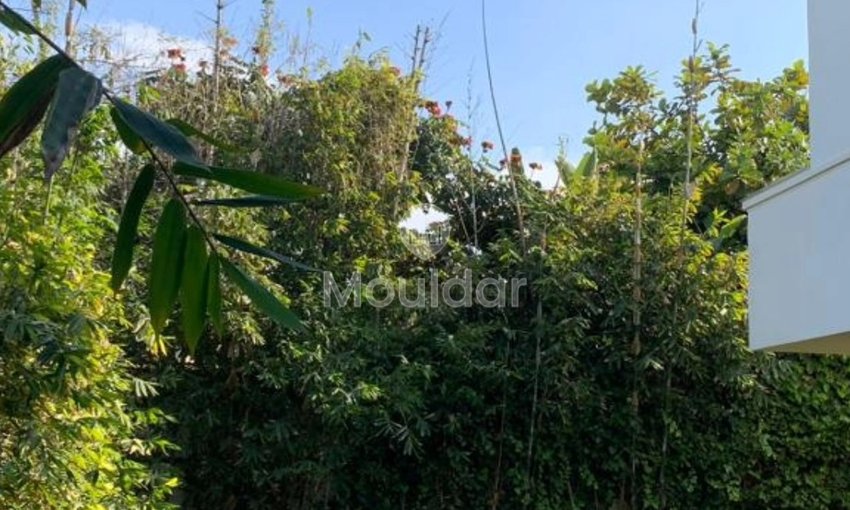 Kiralık Villa, Kazablanka, Anfa - view 14