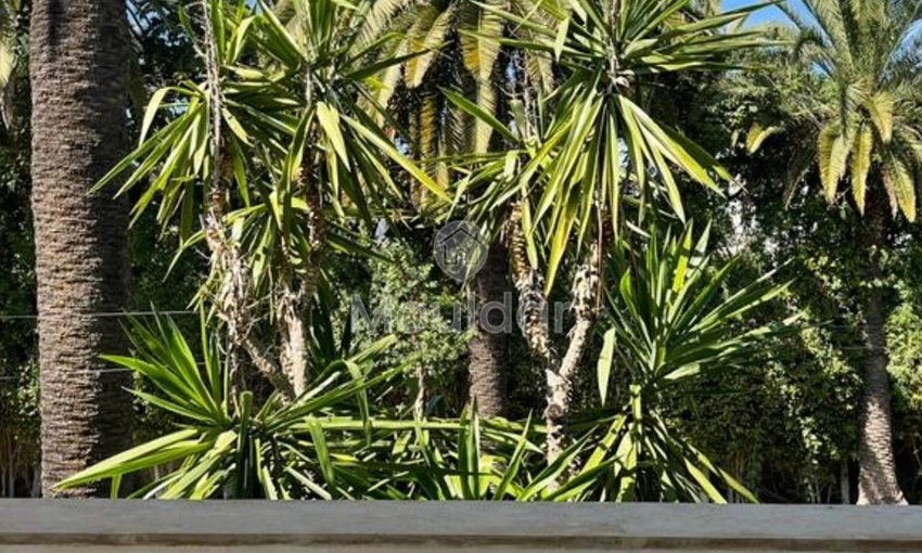 Kiralık Villa, Kazablanka, Anfa - view 13