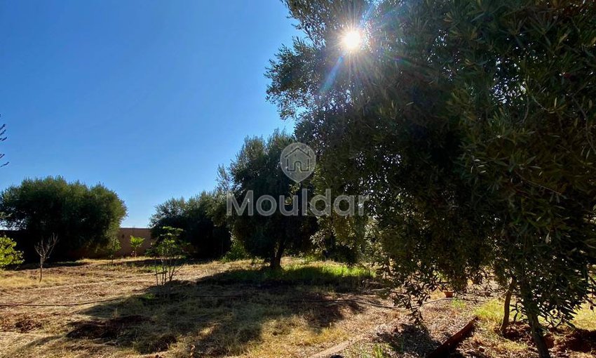 Casa en venta en Marrakech, Ruta de Ourika - view 10