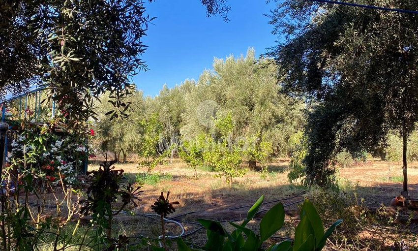 Casa en venta en Marrakech, Ruta de Ourika - view 8