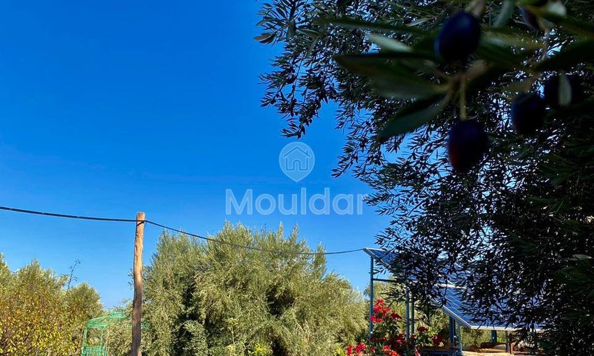 Casa en venta en Marrakech, Ruta de Ourika - view 12