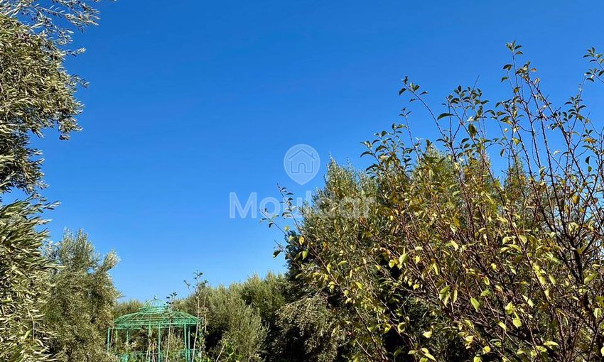 Casa en venta en Marrakech, Ruta de Ourika - view 13