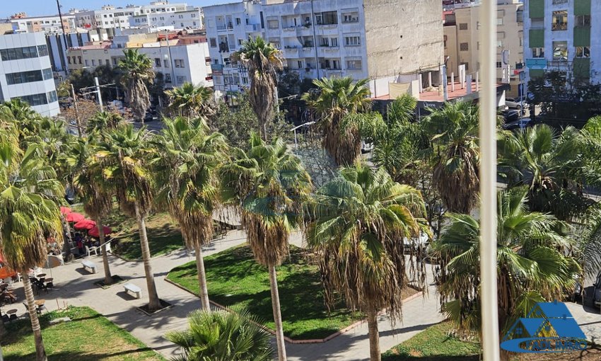 VENTA APARTAMENTO EN TEBRIQUET VENDIDO - view 5