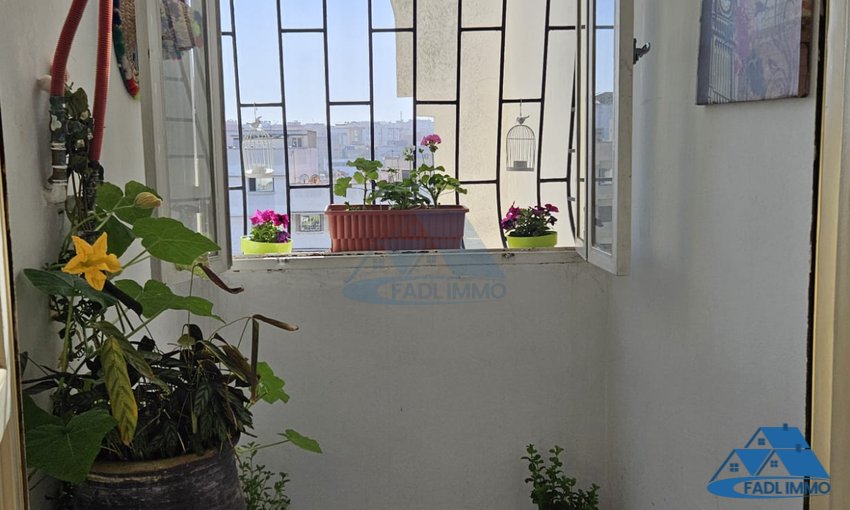 VENTA APARTAMENTO EN TEBRIQUET VENDIDO - view 3