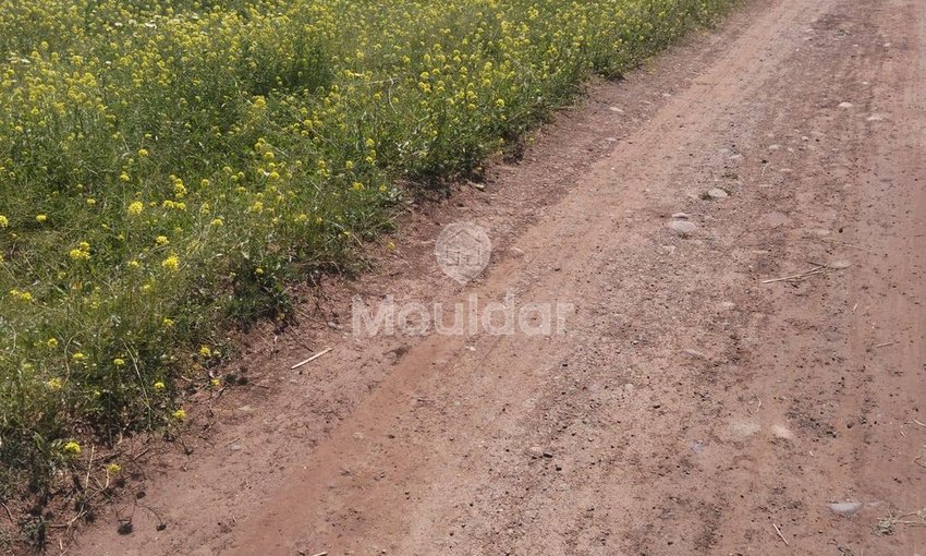 Terreno in vendita a Marrakech, Strada di Ouarzazate - view 2