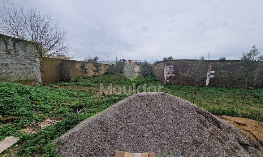 Maison à vendre à Ksar el-Kebir - view 4
