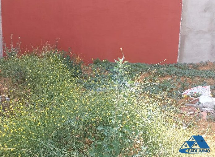 VENTE LOT TERRAIN VILLA 264 M2 A ALLIANCE MEHDIA