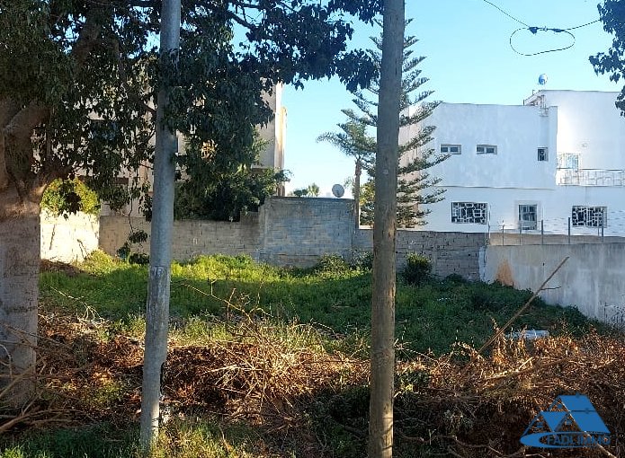 VENTE LOT TERRAIN VILLA 288 M2 A ALLIANCE MEHDIA
