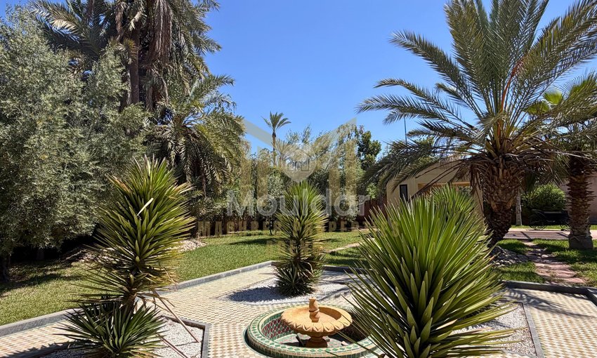 Villa à vendre à Marrakech, Palmeraie - view 9