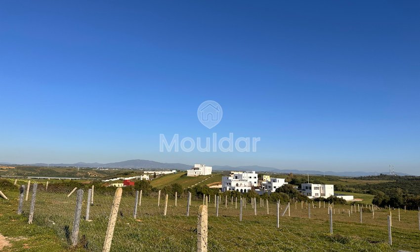 3 Lots de villas à vendre  - view 3