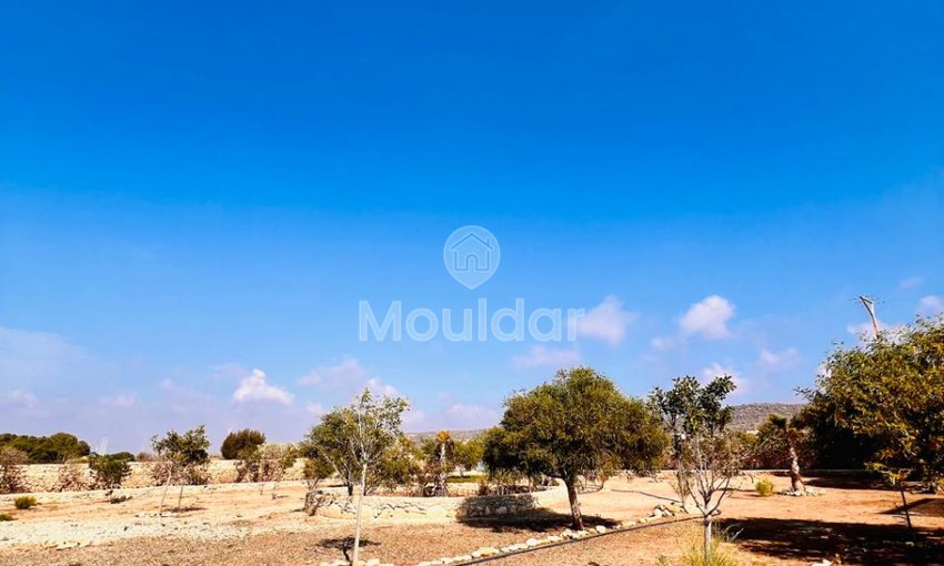 Villa à vendre à Essaouira - view 59