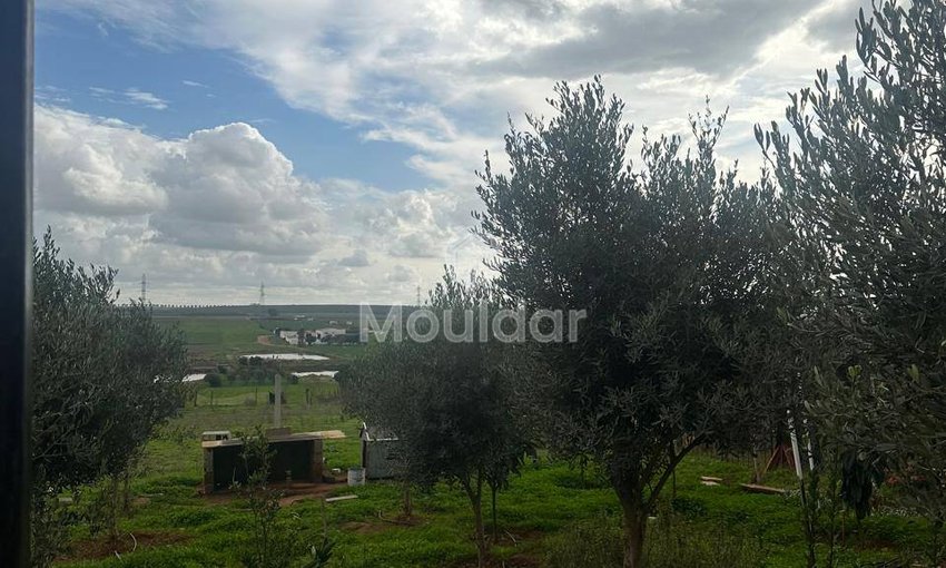 Maison à vendre à Lemjedba environ de Mohammedia - view 9