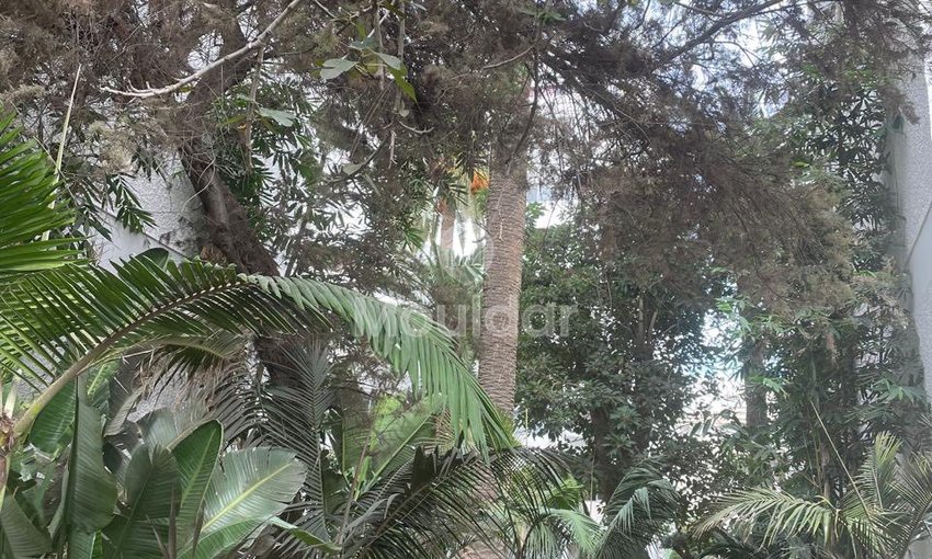 Appartement à louer à Casablanca - view 6