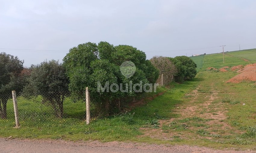 Terrain à vendre à Mohammedia - view 6